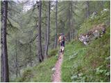 Najberž - Wackendorfer Spitze